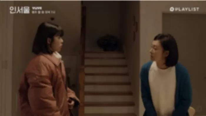 인사이트