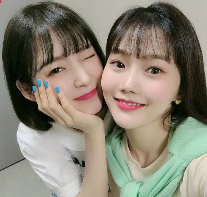 인사이트