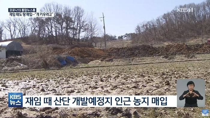 ‘부동산 투기’ 의혹에 개집 지어주기 위해 720평 땅 샀다 해명한 공무원