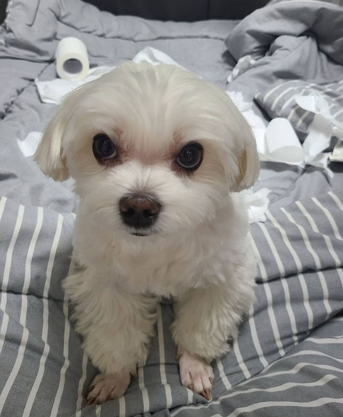 자기가 더럽혀놓은 침대 빨리 치우라며 눈으로 레이저 쏜 명예택배기사 경태