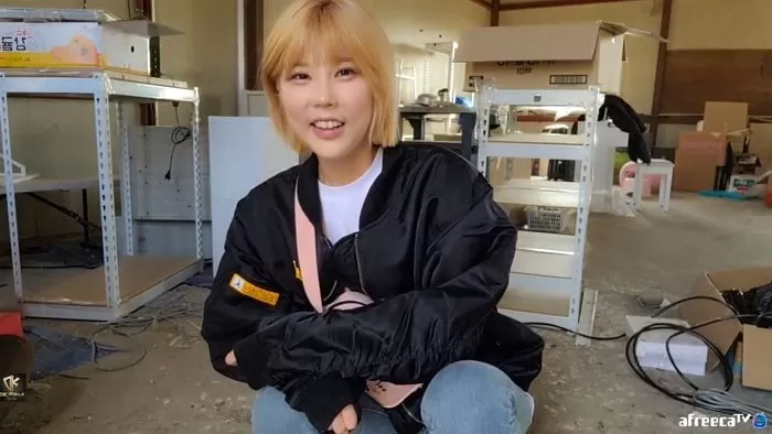 인사이트