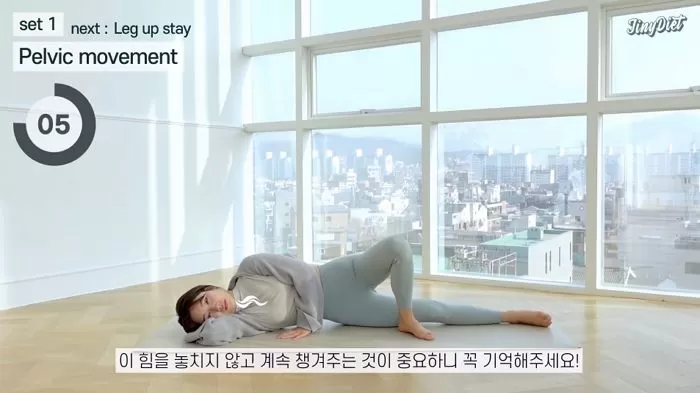 인사이트