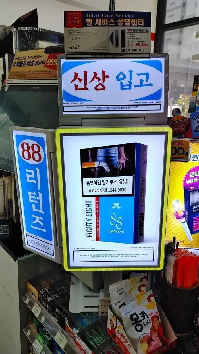 인사이트