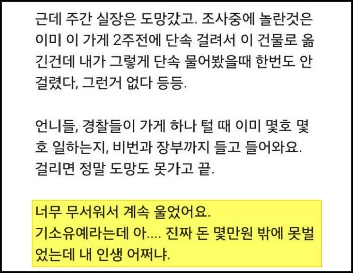 인사이트