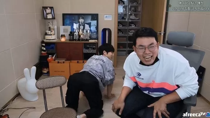 인사이트