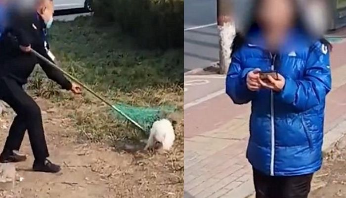 목줄 안 하고 산책하다 단속 걸려 반려견 압수되자 아무 말 못 하는 중국 여성