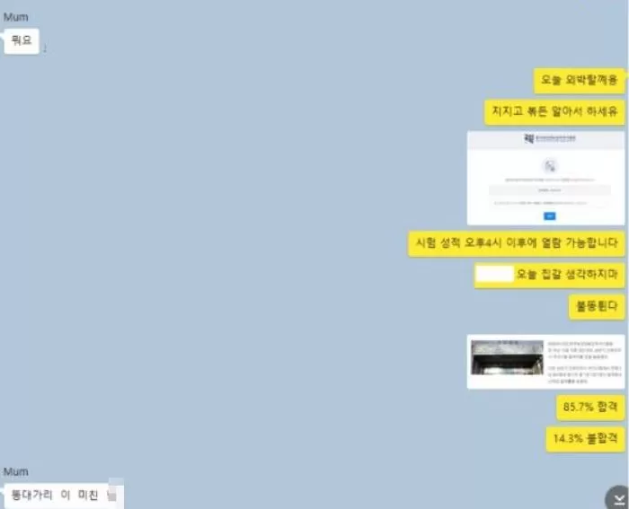 인사이트