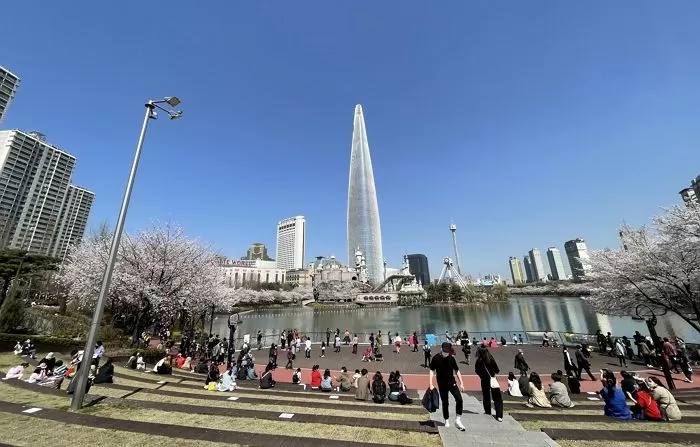 인사이트