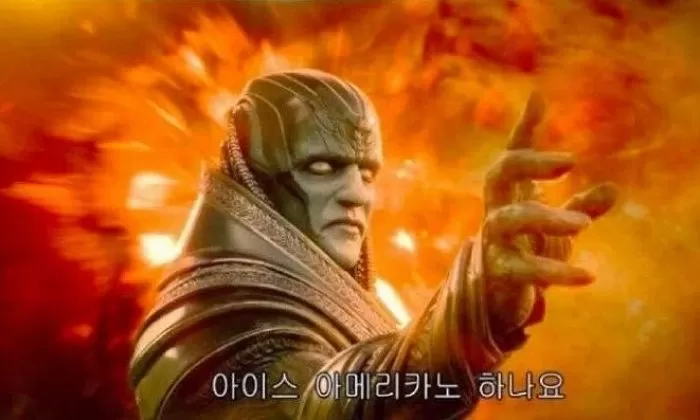 인사이트