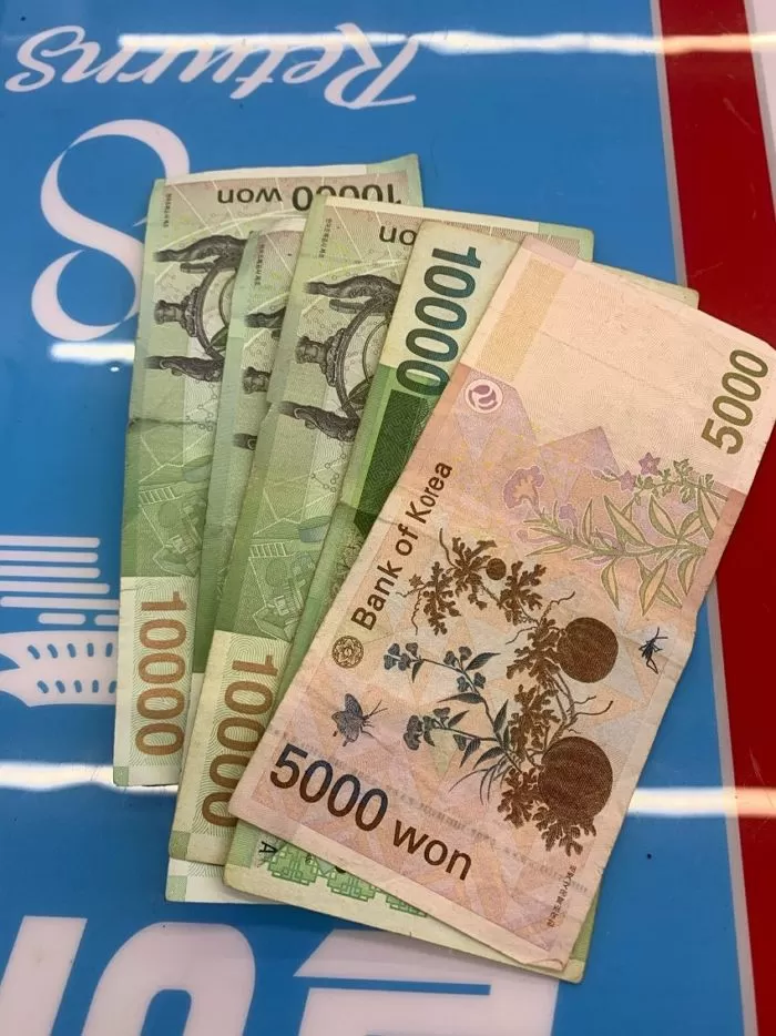 인사이트