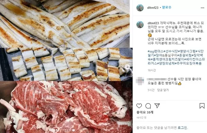 인사이트