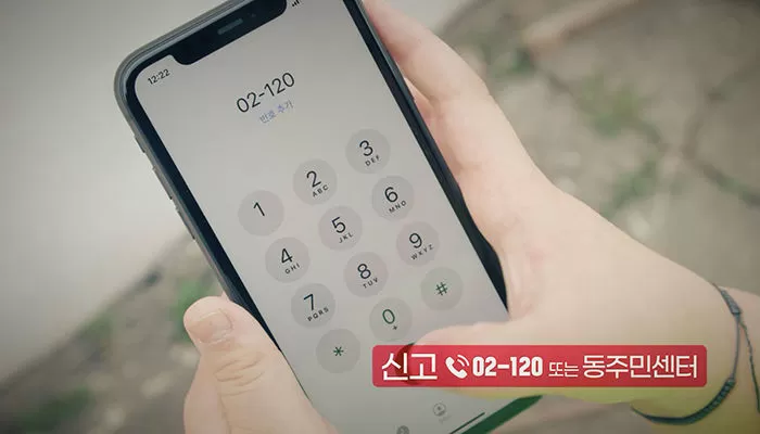 인사이트