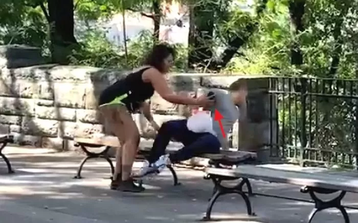 인사이트