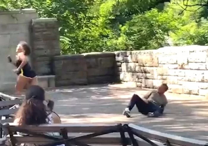 인사이트