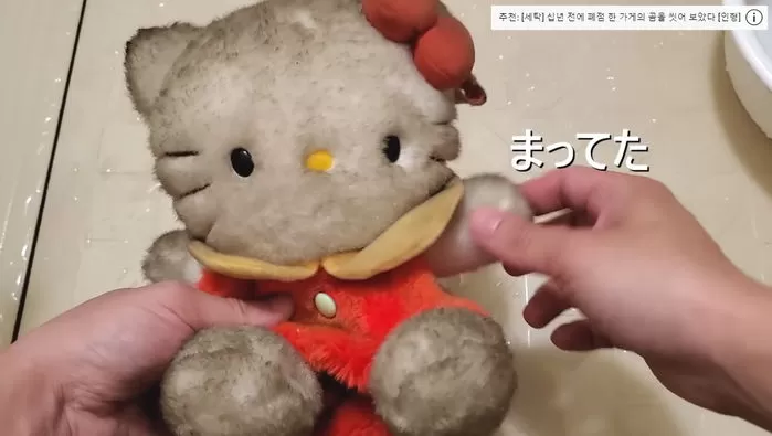 인사이트