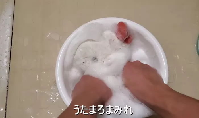 인사이트