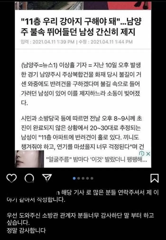 인사이트