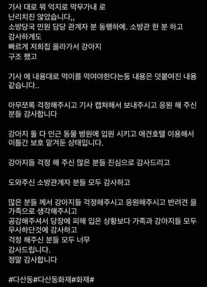 인사이트