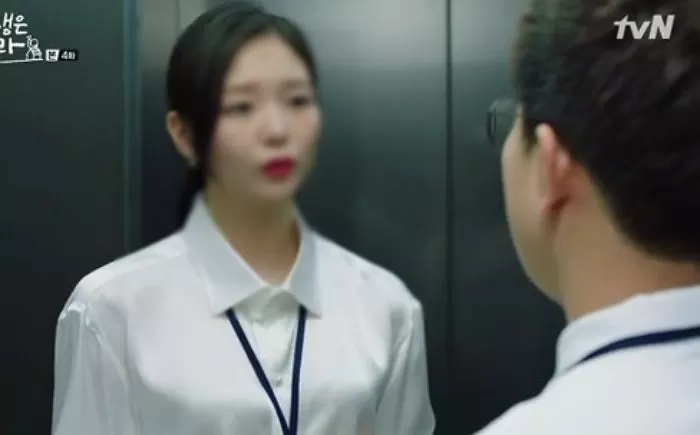 인사이트