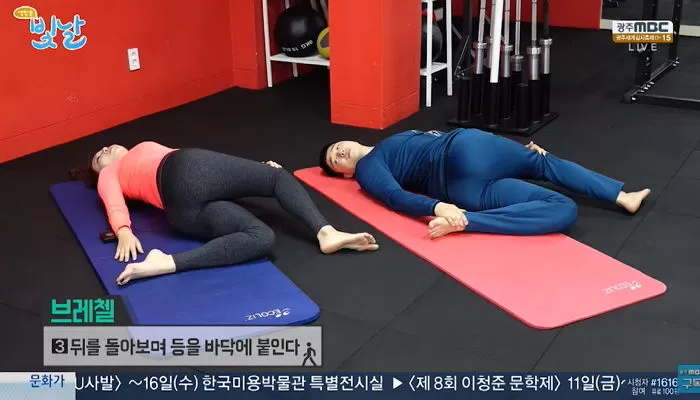 인사이트
