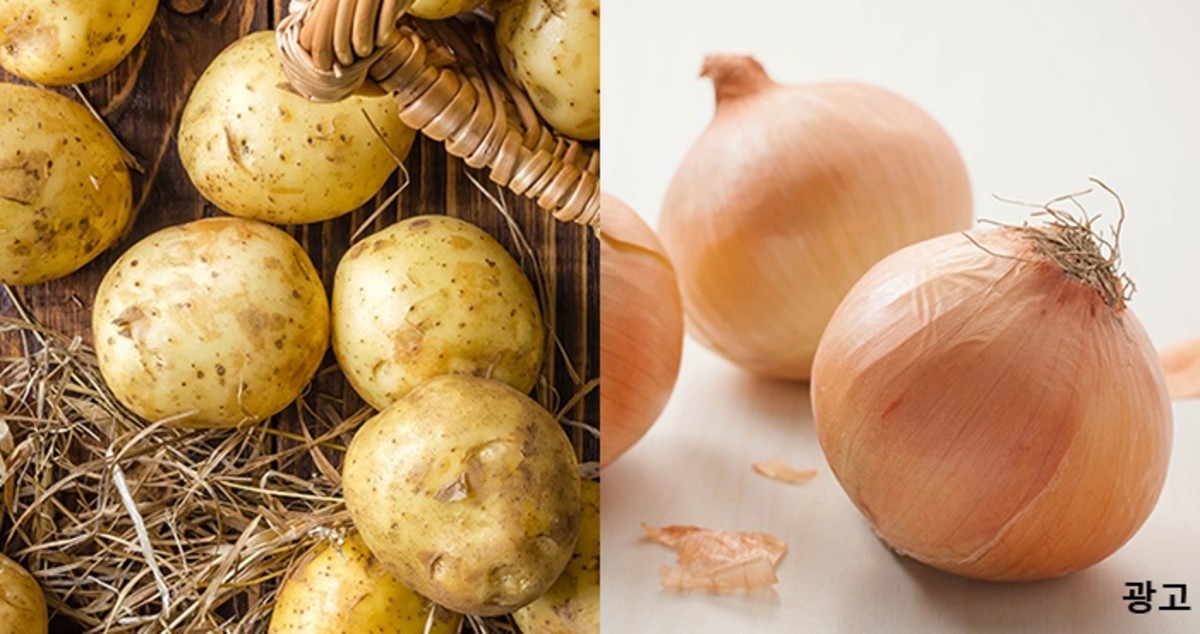 365일 신선한 채소 ‘최저가’로 살 수 있는 ‘GS 프레시몰’