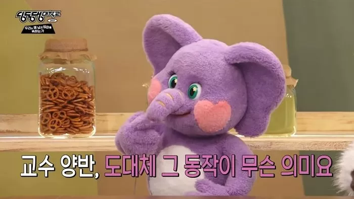 인사이트