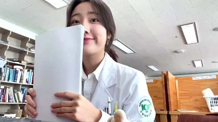 인사이트