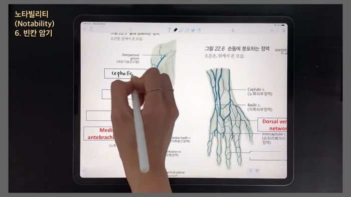 완벽한 ‘스펙+외모’로 구독자 끌어모으고 있는 ‘의대생 유튜버’ 4人