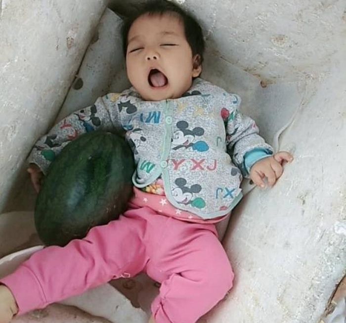 노점상 엄마·아빠 과일 다 팔 때까지 ‘스티로폼 박스’에서 수박 안고 기다리는 아기