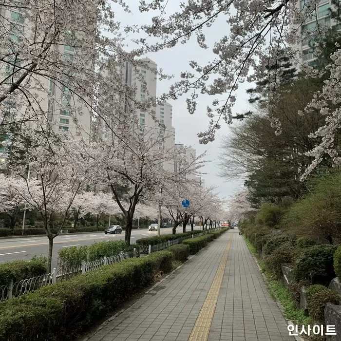 인사이트
