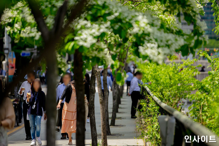 인사이트 / 사진=인사이트