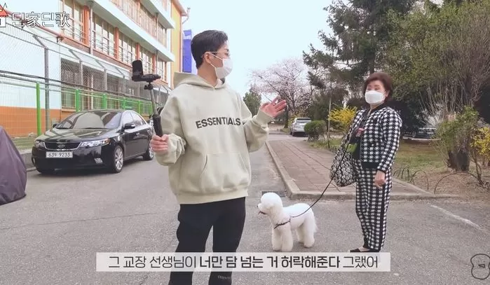 인사이트