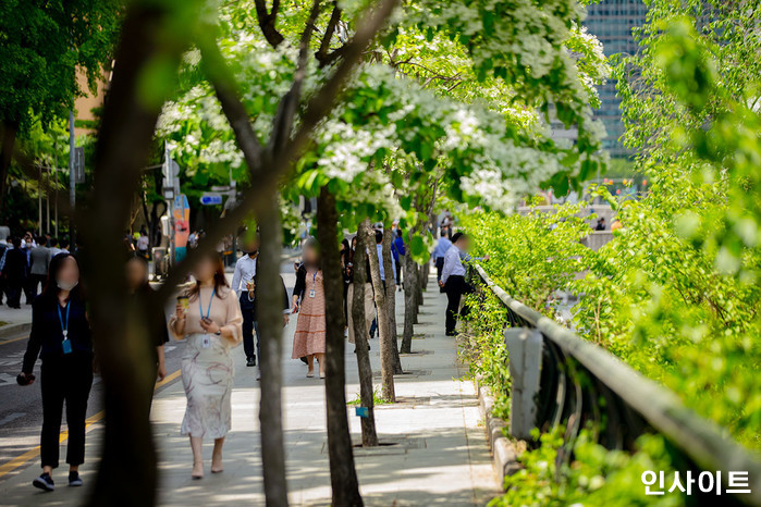 인사이트 / 사진=인사이트