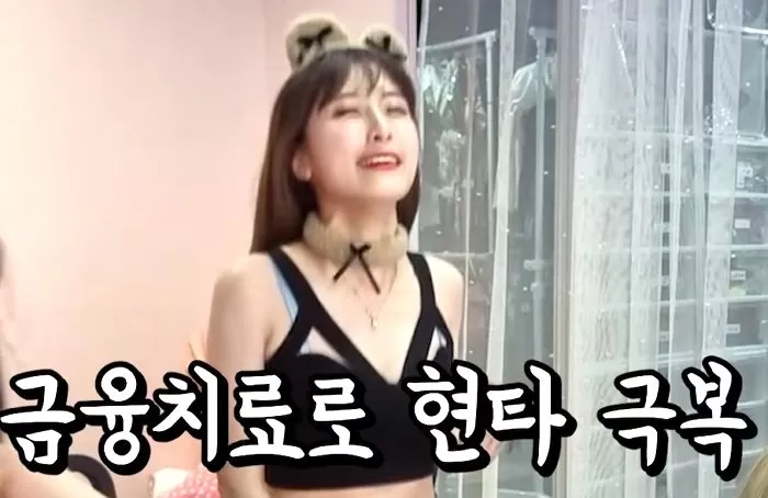 인사이트
