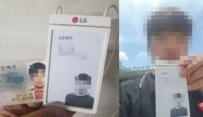 인사이트