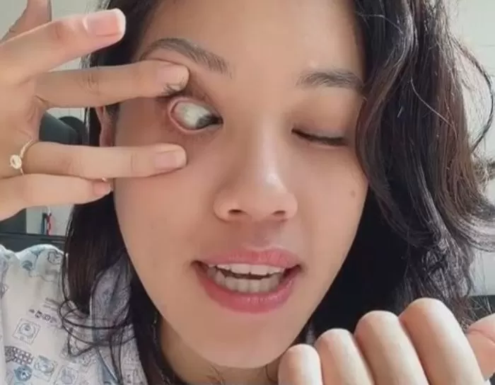 인사이트