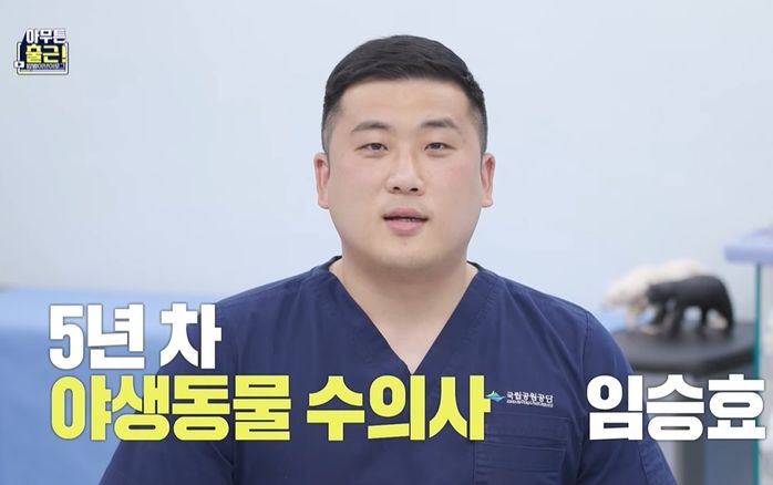 무시무시한 곰도 만나야 하는데 일반 수의사보다 월급 훨씬 적다는 ‘야생동물 수의사’ (영상)