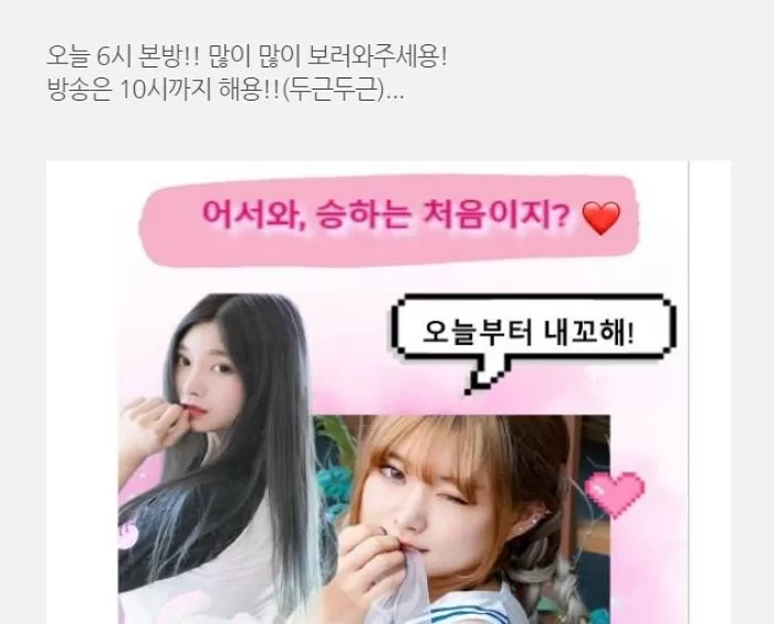인사이트
