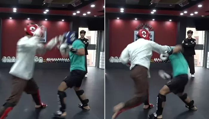 인사이트