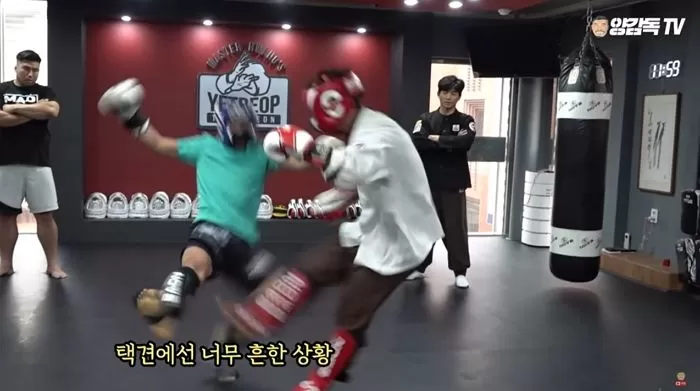 인사이트