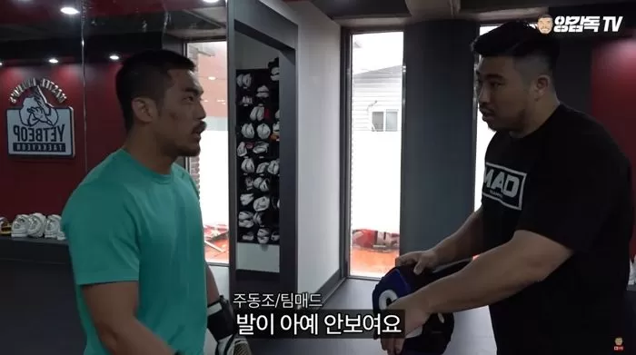인사이트