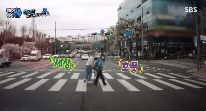 인사이트