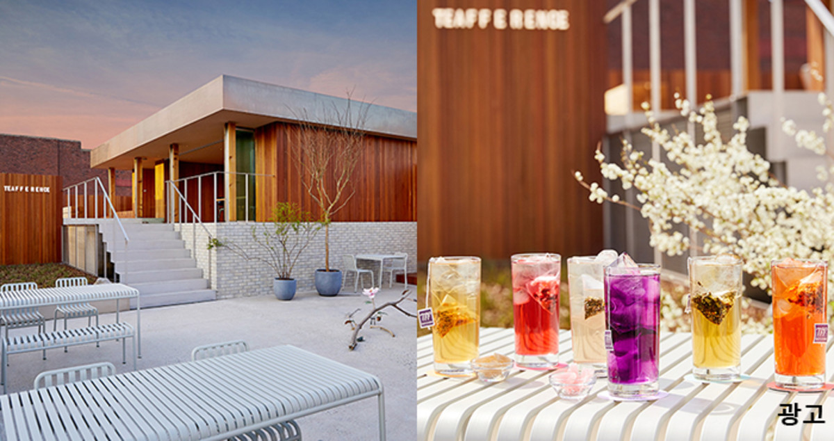 “항산화 미쳤다”는 국내 최초 ‘퍼플티’ 5월부터 익선동 티퍼런스에서 만난다