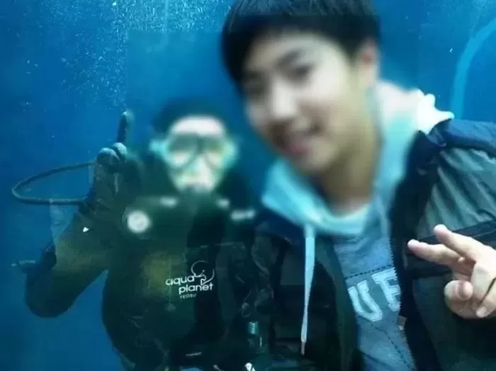 인사이트