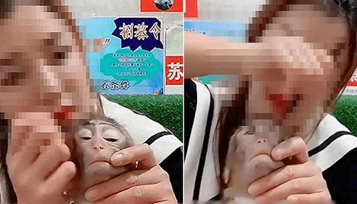 협찬받은 화장품 홍보하려 ‘원숭이 얼굴’에 억지로 메이크업한 중국 뷰티 인플루언서