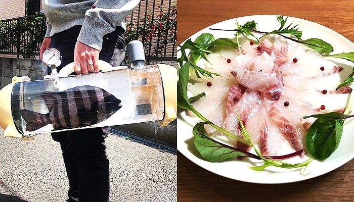 물고기 쏙 집어넣고 가면 집에서도 싱싱한 활어회 맛볼 수 있는 ‘휴대용 수족관’