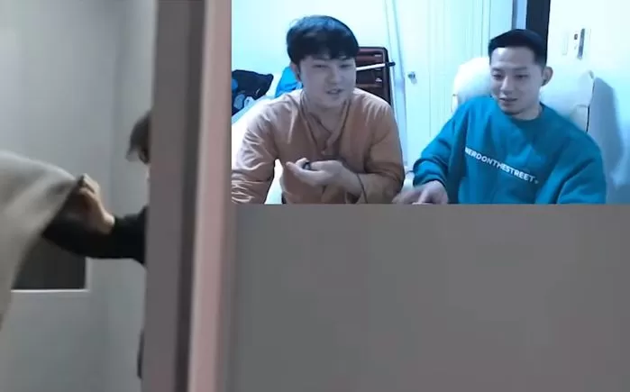 인사이트