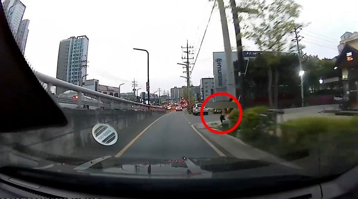 수원의 한 도로에서 자동차 지나갈 때마다 몸 던지는 ‘자해공갈녀’ (영상)