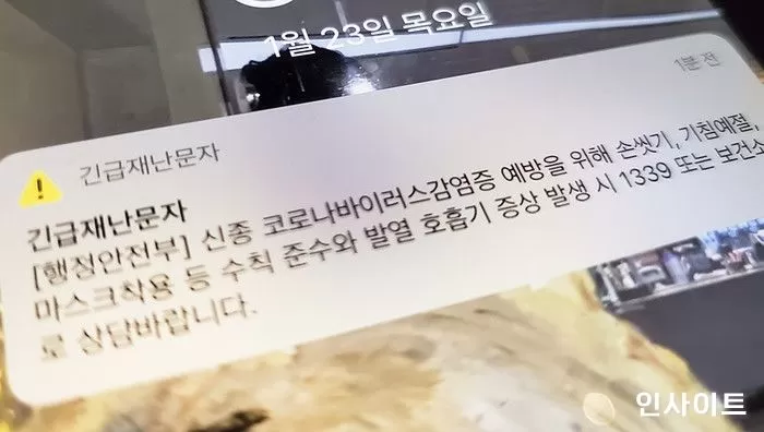 인사이트