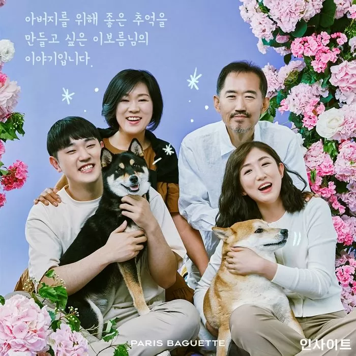 인사이트
